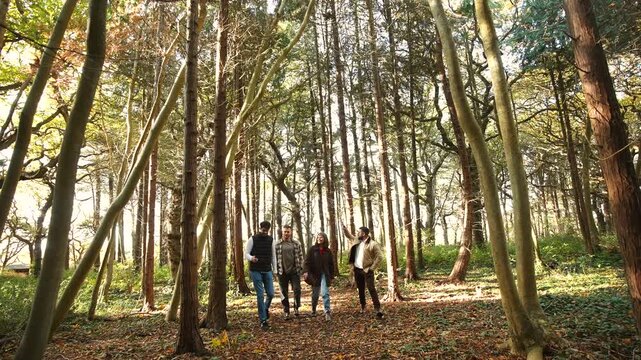 A group of four people are walking through a forest, surrounded by tall trees and a peaceful atmosphere. The sunlight filters through the leaves, creating a warm and inviting ambiance