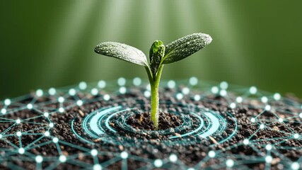 Young plant growing in soil with futuristic digital interface overlay - Powered by Adobe