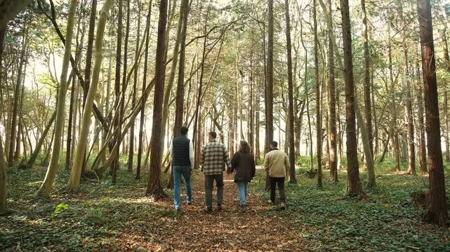 Four men walking through a forest. The woods are filled with trees and the sunlight is shining through the leaves. The men are walking together, enjoying the beauty of nature