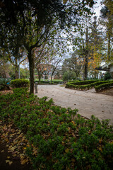 Tree lined park walkway in Nova Petropolis Brazil during autumn season