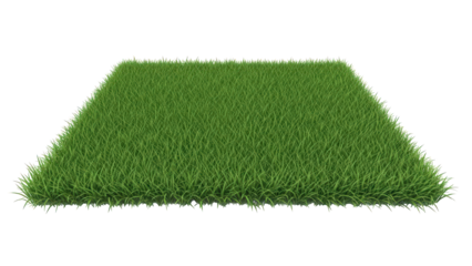 Vibrant green grass patch on black background for design