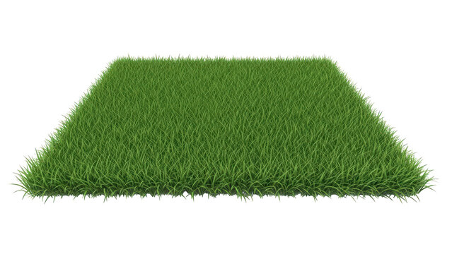 Vibrant green grass patch on black background for design