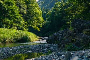 Lush green mountain stream with crystal clear water flowing through mossy rocks and forest sunlight