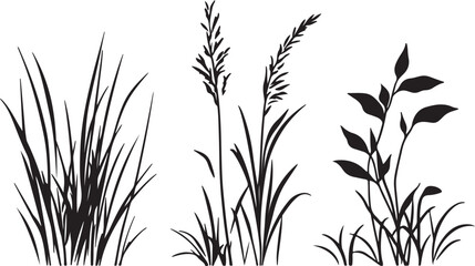 Vector illustration of a black grass silhouette and bamboo leaf pattern isolated on white background for nature growth design