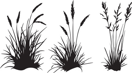 Black grass silhouette vector illustration featuring nature leaves and floral plant stems isolated on a white background for summer art decoration