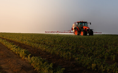 Tractor spraying crops in a lush green field at sunset.