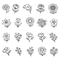 Vector illustration featuring diverse floral line art designs, including daisies, roses, sunflowers, and more. Perfect for digital art projects, patterns, or botanical studies.