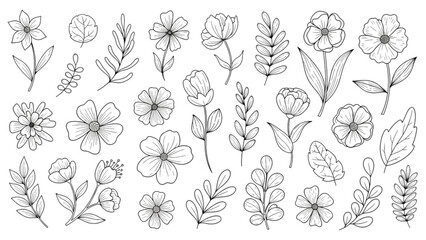 Collection of various flowers and leaves illustrations on a white background