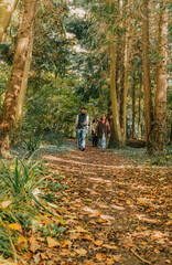 Fototapeta premium A group of people are walking through a forest, surrounded by trees and leaves. Scene is peaceful and serene, as the group enjoys their time in nature