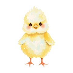 Watercolor chicken, hen, Easter, isolated on white background. Cute yellow birds for greeting cards, posters and wedding designs.