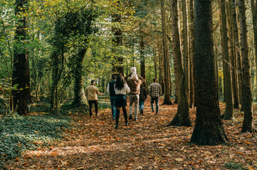 Fototapeta premium A group of people are walking through a forest. Scene is peaceful and serene, as the group of people are surrounded by nature and the trees