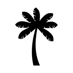 palm tree silhouette vector