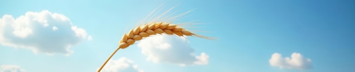 Single ripe oat ear, glowing against a backdrop of clear blue sky and white clouds , grain, photography, countryside