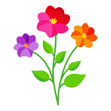 clarkia colorful on white background 