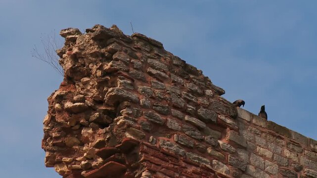 Two Crows Standing on a Partially Ruined Stone Wall