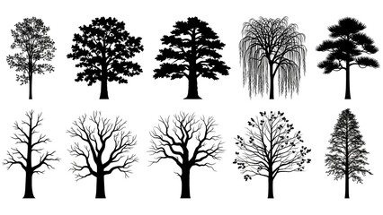 Fototapeta premium Assorted Tree Silhouette Gallery Ten Unique Tree Silhouete Illustrations for Digital Art.jpg