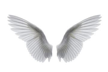Obraz premium Elegant White Angel Wings
