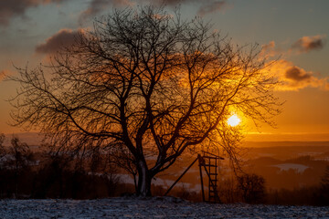 Winter snowy cold sunrise near Roprachtice village in Krkonose mountains