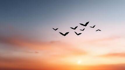 Fototapeta premium Flock of birds flying in V formation across dramatic sunset sky with orange and pink clouds creating peaceful migration scene.