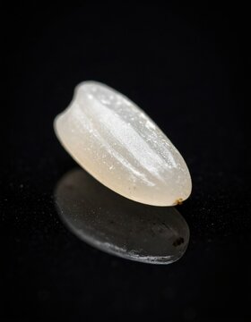 Close Up Macro Shot of a Single White Rice Grain on a Reflective Black Surface with Dramatic Lighting