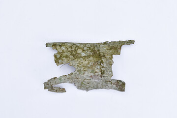 
Dry tree bark over white background. Dead bark.