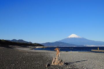 【静岡県】三保の松原から望む絶景の富士山