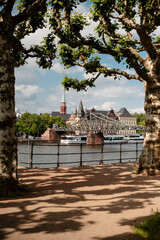 Frankfurt skyline with historic bridge and river Main framed by trees