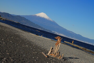 【静岡県】三保の松原から望む絶景の富士山