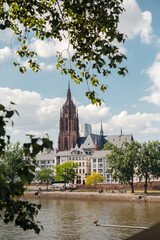 Frankfurt Cathedral and Main River embankment on a sunny day with trees