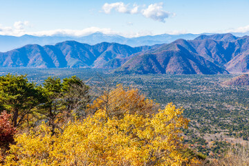 Naklejka premium 日本の風景・秋 山梨県鳴沢村 紅葉の紅葉台から青木ヶ原樹海を望む