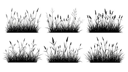 Set of six minimalist black silhouettes of various grass and plant arrangements on white background © @_ greta