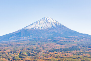 Fototapeta premium 日本の風景・秋 山梨県鳴沢村 紅葉の紅葉台から富士山を望む