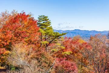 日本の風景・秋　山梨県鳴沢村　紅葉の紅葉台からの眺望 © Yuta1127