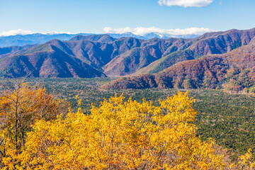 日本の風景・秋　山梨県鳴沢村　紅葉の紅葉台からの眺望 © Yuta1127