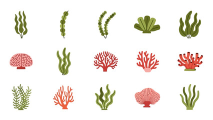 Illustration of Various Types of Seaweed and Coral in Different Shapes and Colors for Marine © @_ greta