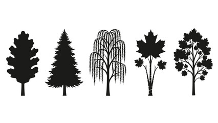 Silhouette of Various Tree Types Including Oaks Pines Maples and Decorative Foliage © @_ greta