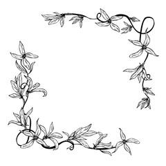 Spring forsythia flowers on climbing branch black ink square border. Monochrome blooming plant vector isolated illustration. Floral frame with empty space for text. For wedding invitation