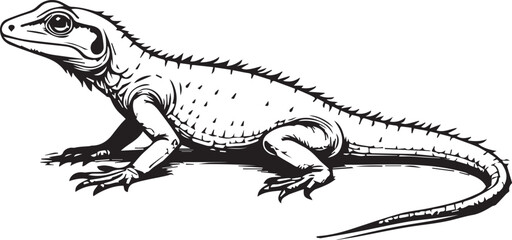 Fototapeta premium A detailed black and white illustration of a lizard, with every scale and contour meticulously rendered, providing a striking glimpse into the world of reptilian wildlife.