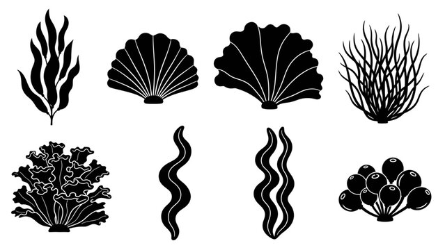 Collection of Various Seaweed and Marine Plant Silhouettes for Marine Biology Illustration