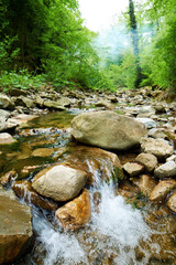 Small river rapid creates dynamic water flow over rocks, forming natural staircase of whitewater and movement.