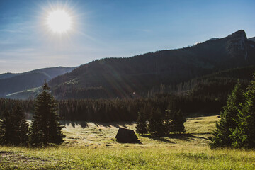 view of the shepherd's huts in the Polish mountains in the sunny light