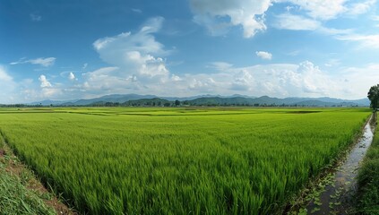 Fototapeta premium Beautiful countryside scenery with vibrant green plants and a dramatic blue sky with fluffy white cumulus clouds.