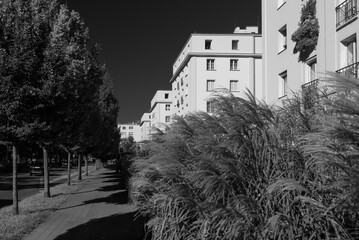 MODERNIST CITY - Classic architecture buildings among greenery on a city street