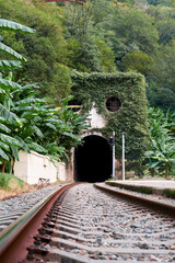 Abandoned railway tracks disappear into a vegetation-choked tunnel where nature conquers human industry.