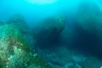 Massive granite boulder on seafloor, Similan Islands, Thailand © Krzysztof Bargiel