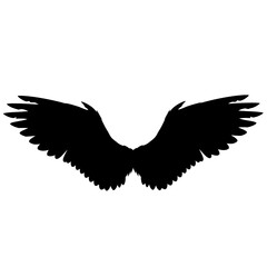 Elegant Black Angel Wings Silhouette Isolated on White Background.