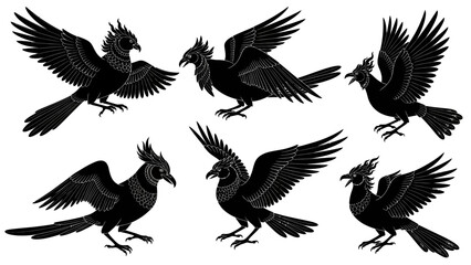 Obraz premium Stylized black bird illustrations in various poses on a white background
