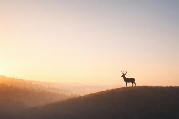 A Solitary Stag in Majestic Twilight: Capturing the Ethereal Beauty of Nature as a Deer Stands Silhouetted Against a Tranquil Sunrise on a Rolling Hill