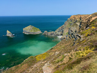 Beautiful sunny day on dramtic cliffs at Basset Cove near Portreath Cornwall England