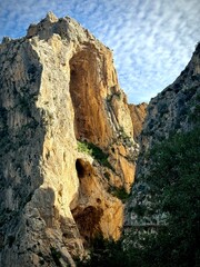 Caminito del Rey Steep rock faces of a gorge shine in the sunlight. A narrow walkway leads along the vertical cliff, while green pine trees grow below.